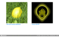 thelemonstands.com