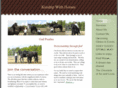 kinshipwithhorses.net