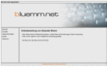 bluemm.net