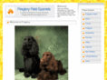 firegloryfieldspaniels.com