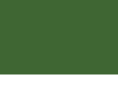 igf-inc.com