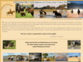 reitsafari.de