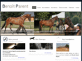 benoitparent.com
