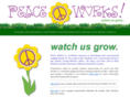 nbpeaceworks.org