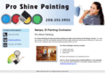 proshinepainting.com