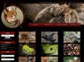 walkwildside.com