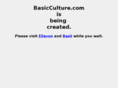 basicculture.com