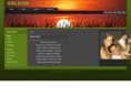 goldimproducoes.net