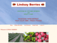 lindsayberries.com