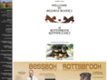 bessboxboxers.com