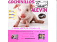 cochinillosalevin.com