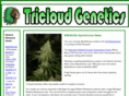 tricloudgenetics.com