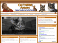 cattraininganswers.com