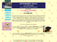 dewberrydogs.org