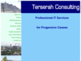 terserahconsulting.com