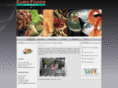 eurofoods-bd.com