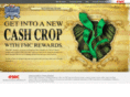 sunflowerrewards.com