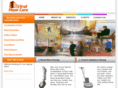 viralfloorcare.com