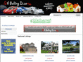 ahsellingit.com