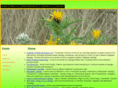 beehonee.com