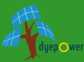 dyepower.org