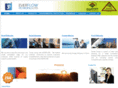 everflowpetrofils.com