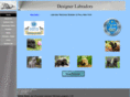 designerlabradors.com