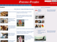 guyanagraphic.com