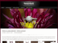 innershell.com