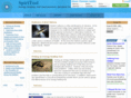 spiri-tool.com