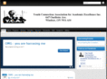 youthconnectionassociation.com