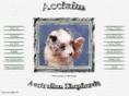acclaimaussies.com