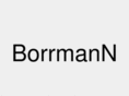 borrmann-online.com