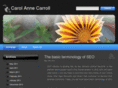 carolannecarroll.com