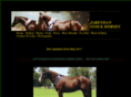 jarendanstockhorses.com