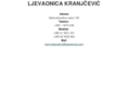 ljevaonica.com