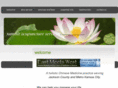 summitacupunctureservices.com