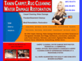 tanincarpetcleaning.com