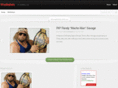 thewrestlinggeek.com