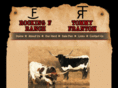 2amigoslonghorns.com