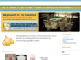 magnesolxloilsolutions.com