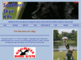 southernskyek9s.com