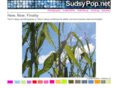 sudsypop.net