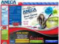 anecafcu.org