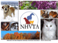 nhvta.com