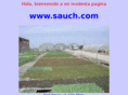 sauch.com