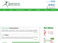 zenfosys.com