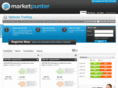 marketpunter.com
