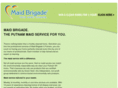 putnamcleaningservice.com