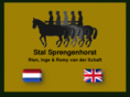 stalsprengenhorst.com